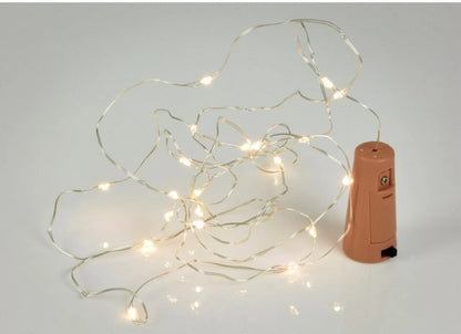 LED Fairy Lights — Cork Style
